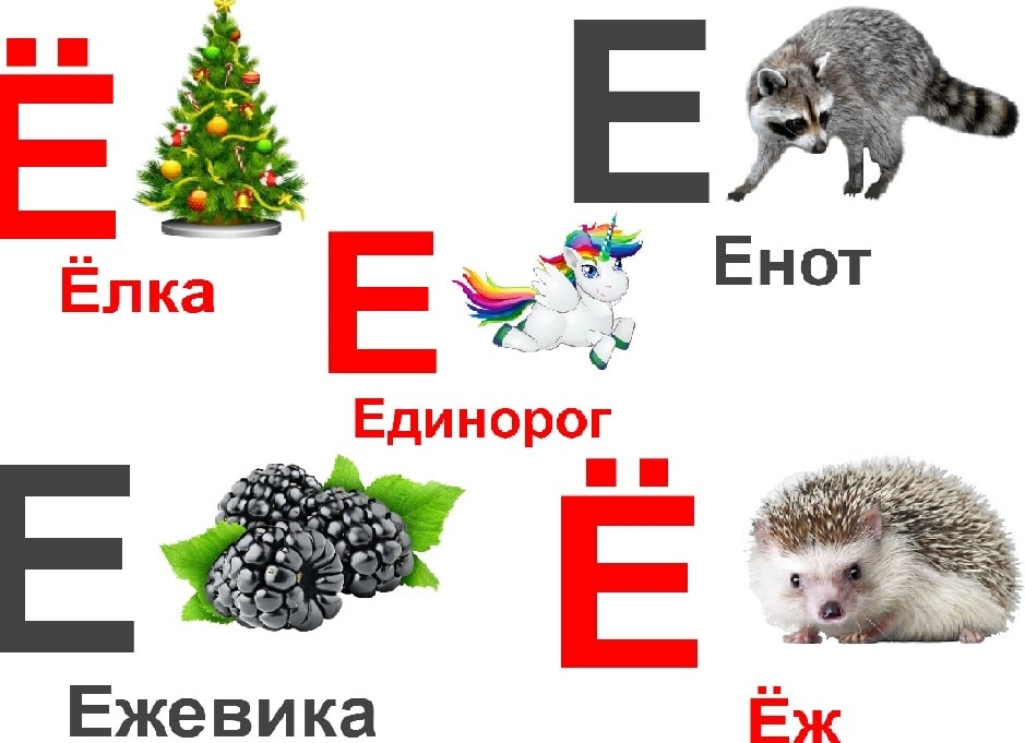 Определения на букву Е