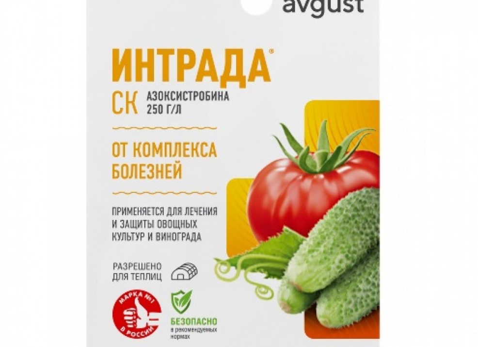 Интрада